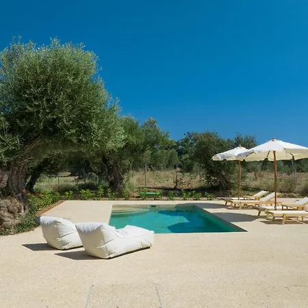 Terra Oleana Cottages Vasilikos  Exterior photo