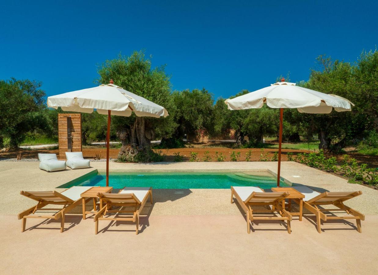 Terra Oleana Vasilikos (Zakynthos)