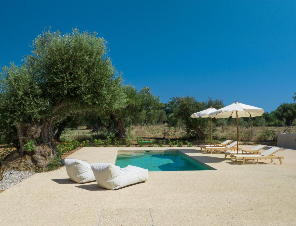 Terra Oleana Holiday home Vasilikos (Zakynthos)