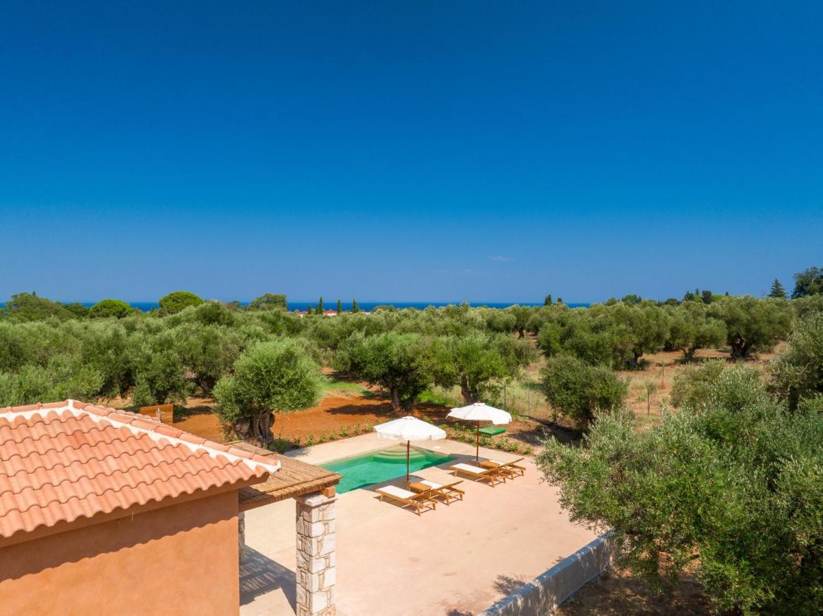 Holiday home Terra Oleana Vasilikos (Zakynthos)