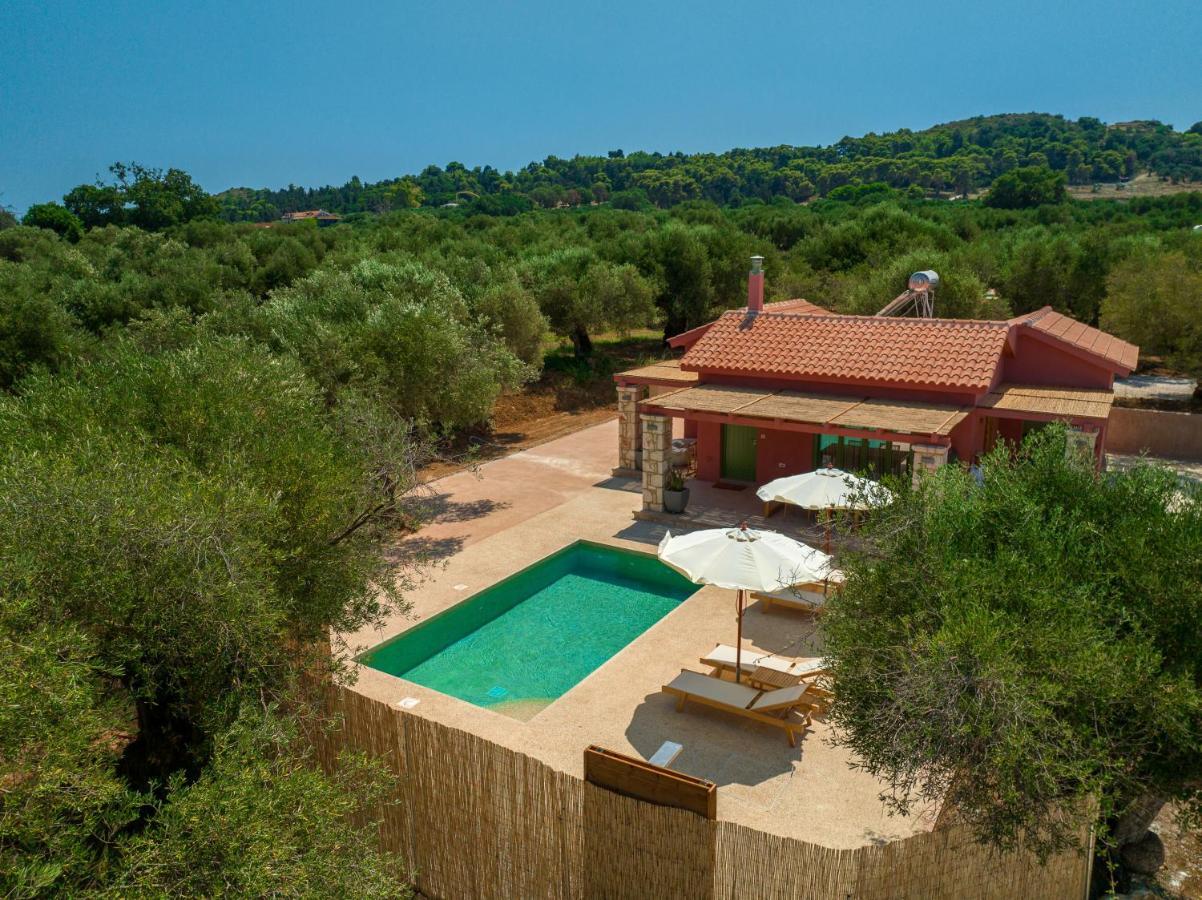 Terra Oleana Vasilikos (Zakynthos)